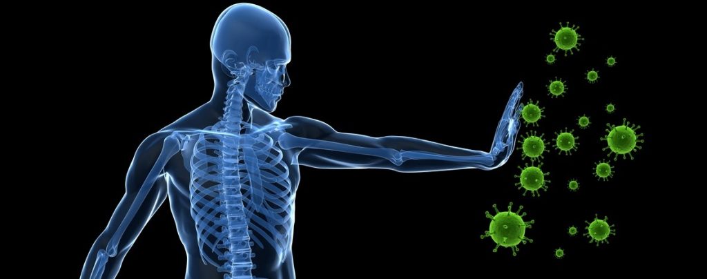Jeder Mensch hat ein angeborenes Immunsystem. Foto: ©iStock.com/Eraxion (Sebastian Kaulitzki)