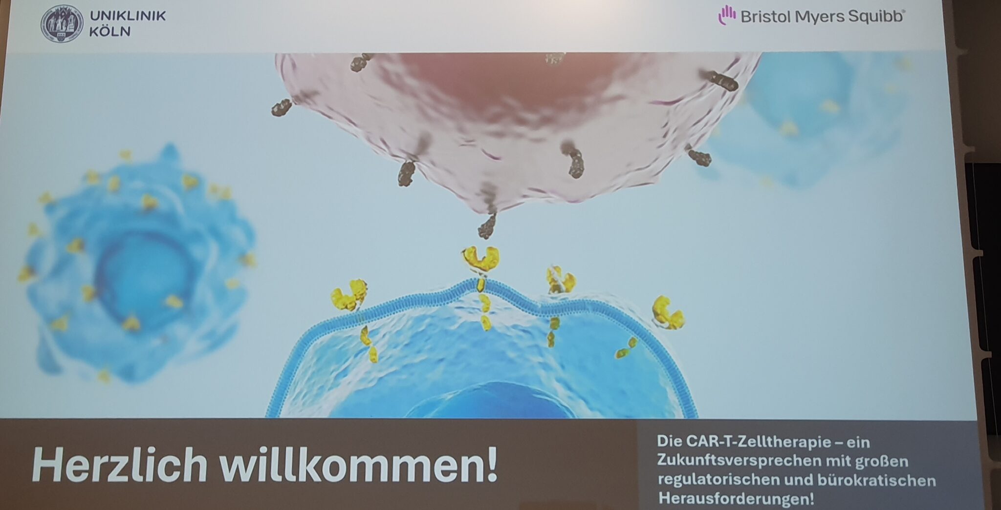 Warum heißt Krebs Krebs? Woher die Krankheit ihren Namen hat